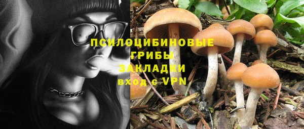 марки lsd Новодвинск