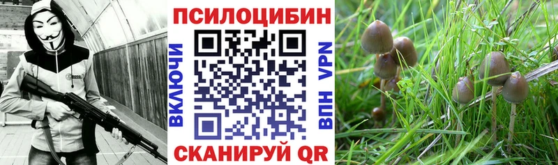 Псилоцибиновые грибы мухоморы  как найти   мега сайт  Наволоки 